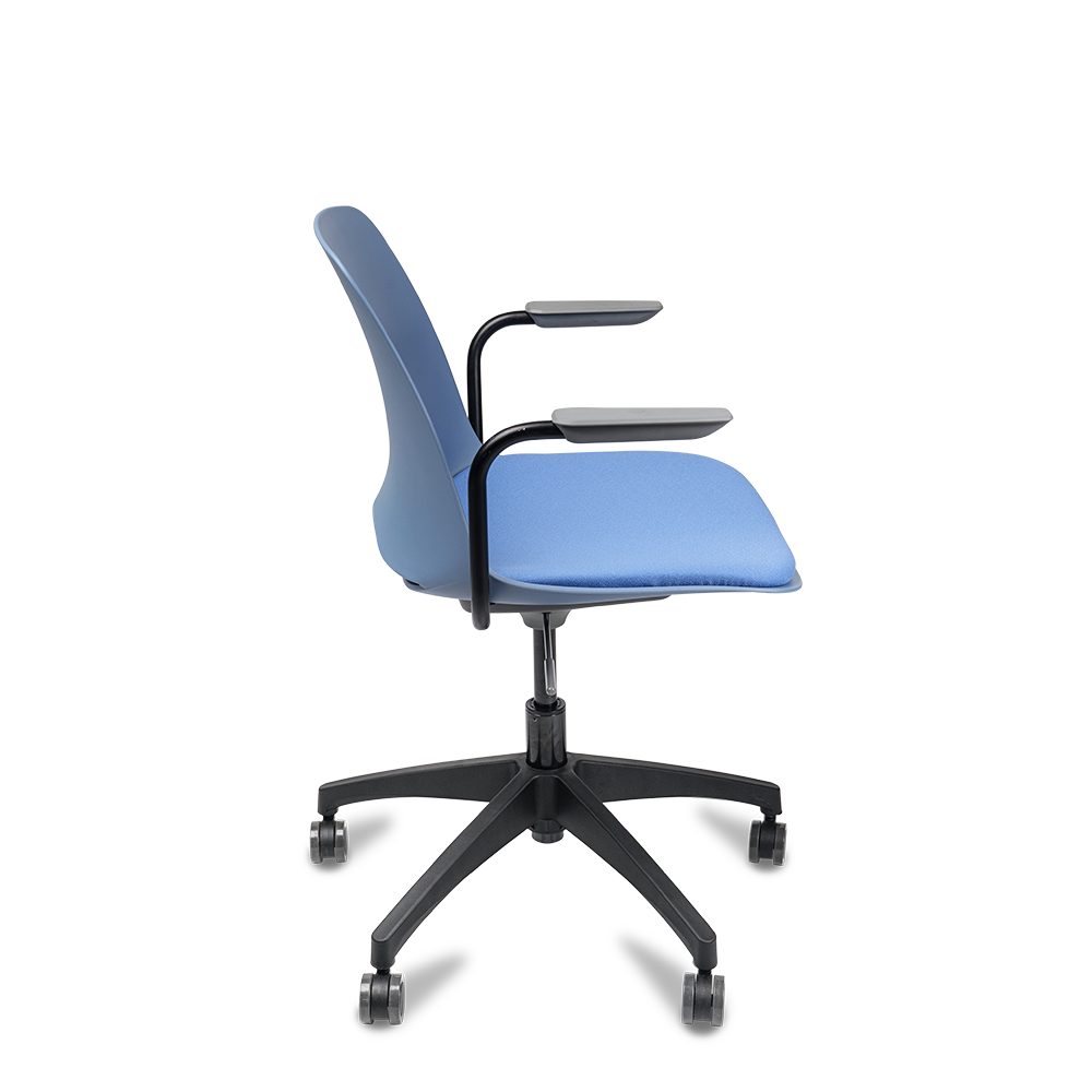 2_1_120573_wreezf5dmo png